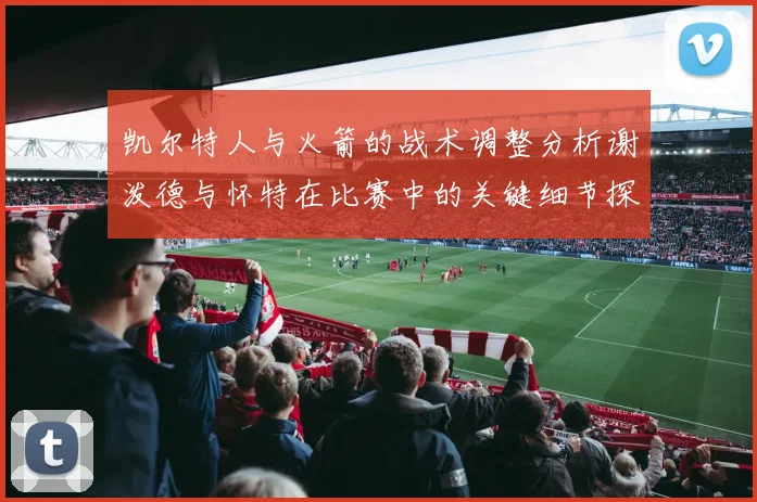 凯尔特人与火箭的战术调整分析谢泼德与怀特在比赛中的关键细节探讨