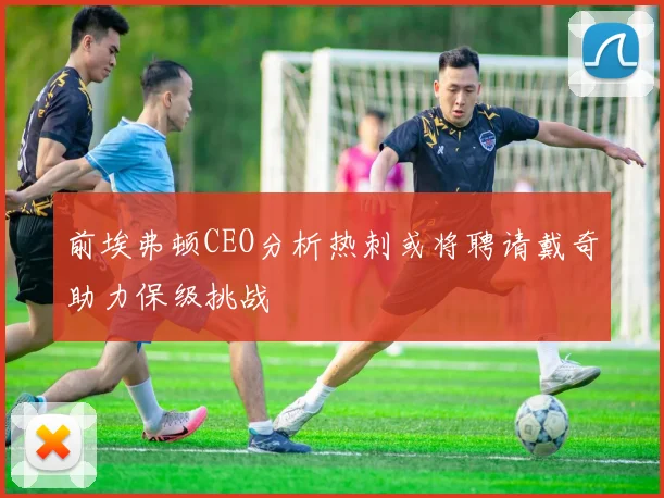 前埃弗顿CEO分析热刺或将聘请戴奇助力保级挑战